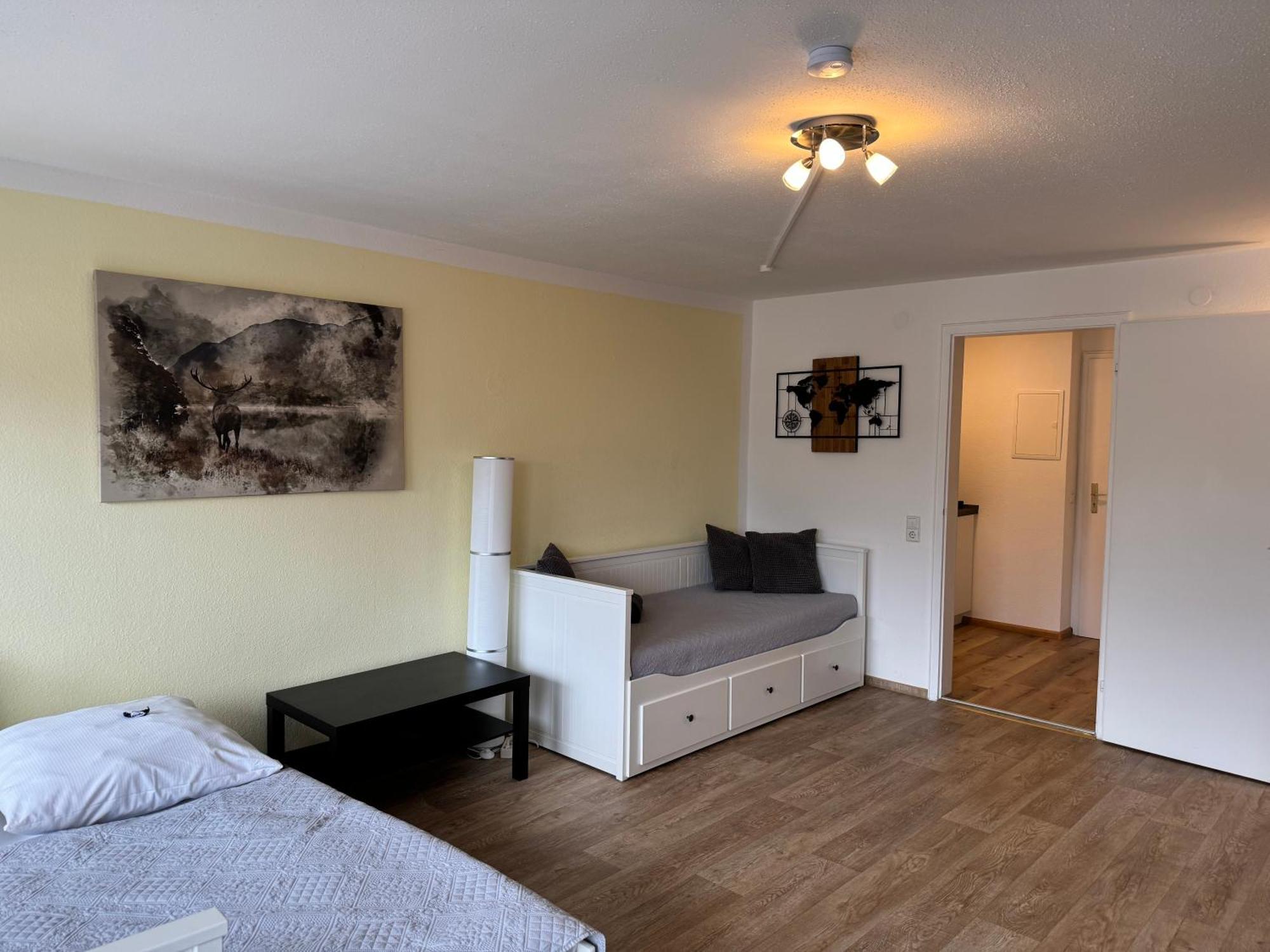 Domview Apartment St. Blasien Buitenkant foto