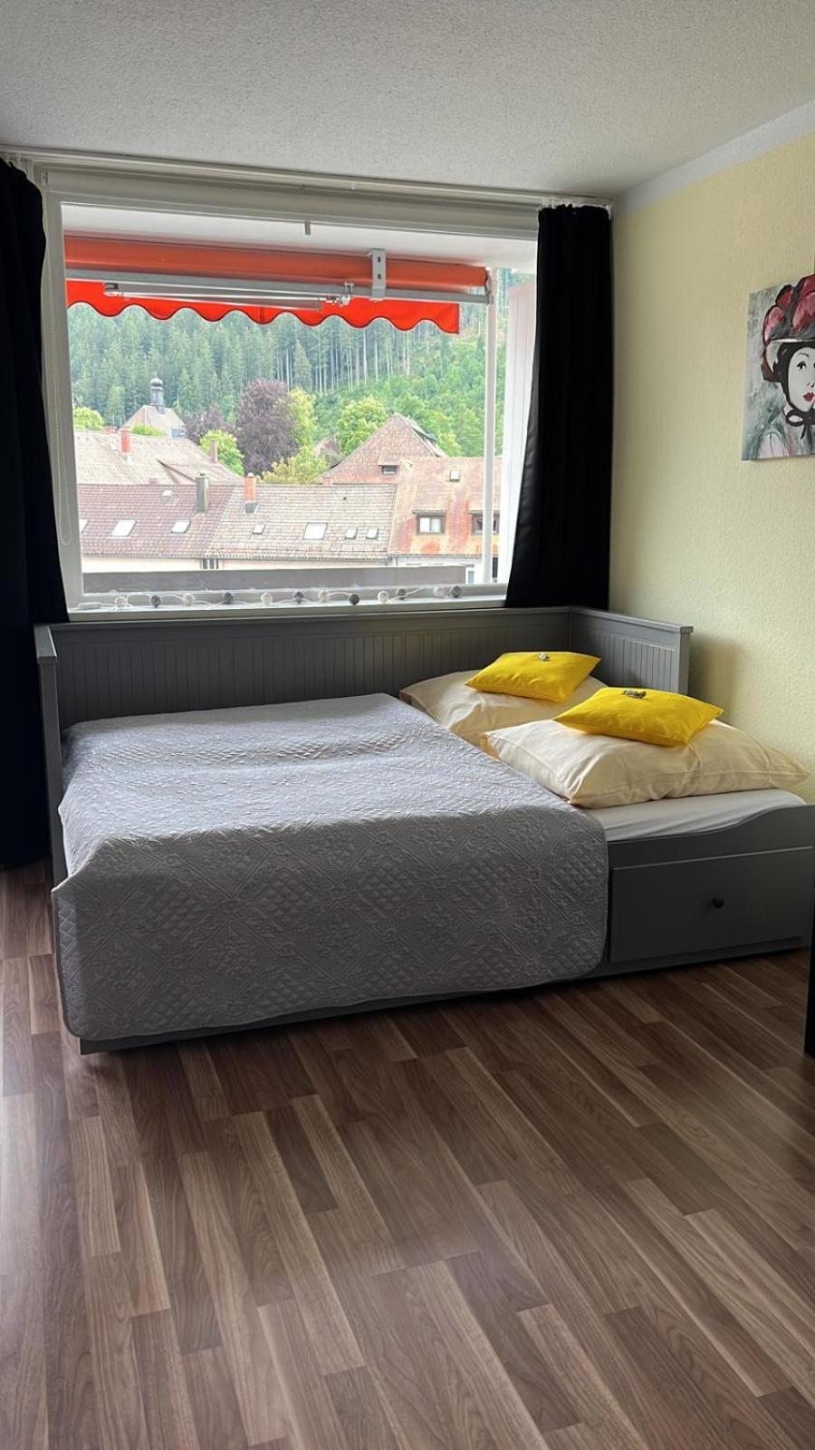 Domview Apartment St. Blasien Buitenkant foto