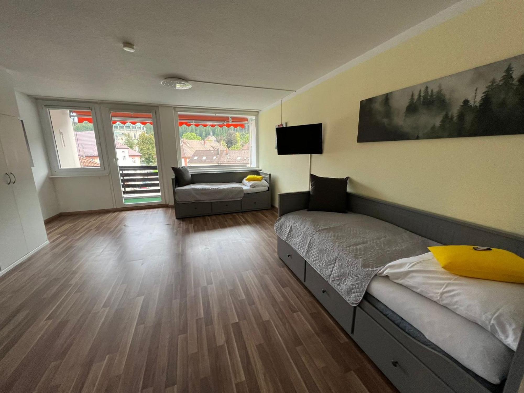 Domview Apartment St. Blasien Buitenkant foto