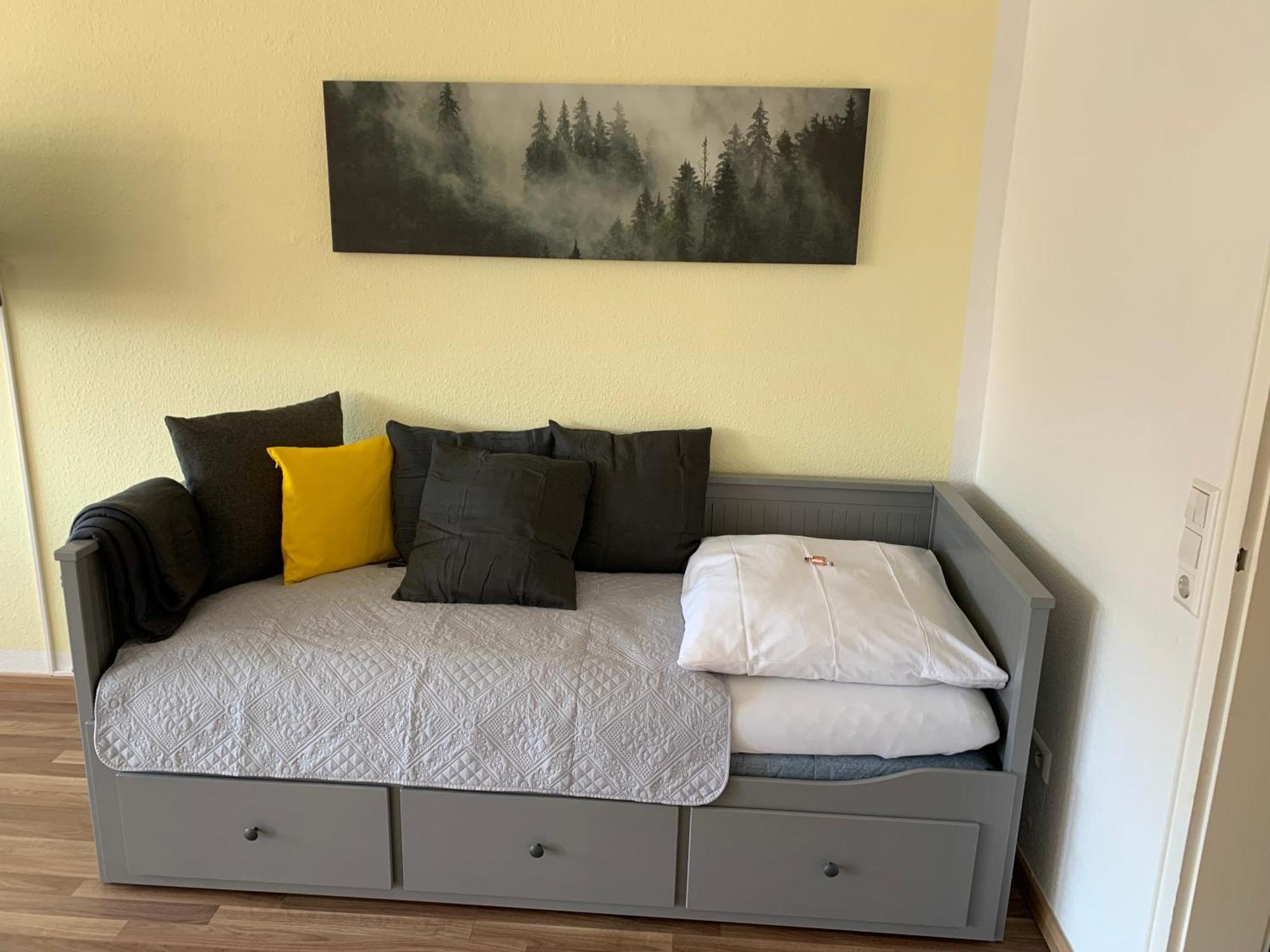 Domview Apartment St. Blasien Buitenkant foto
