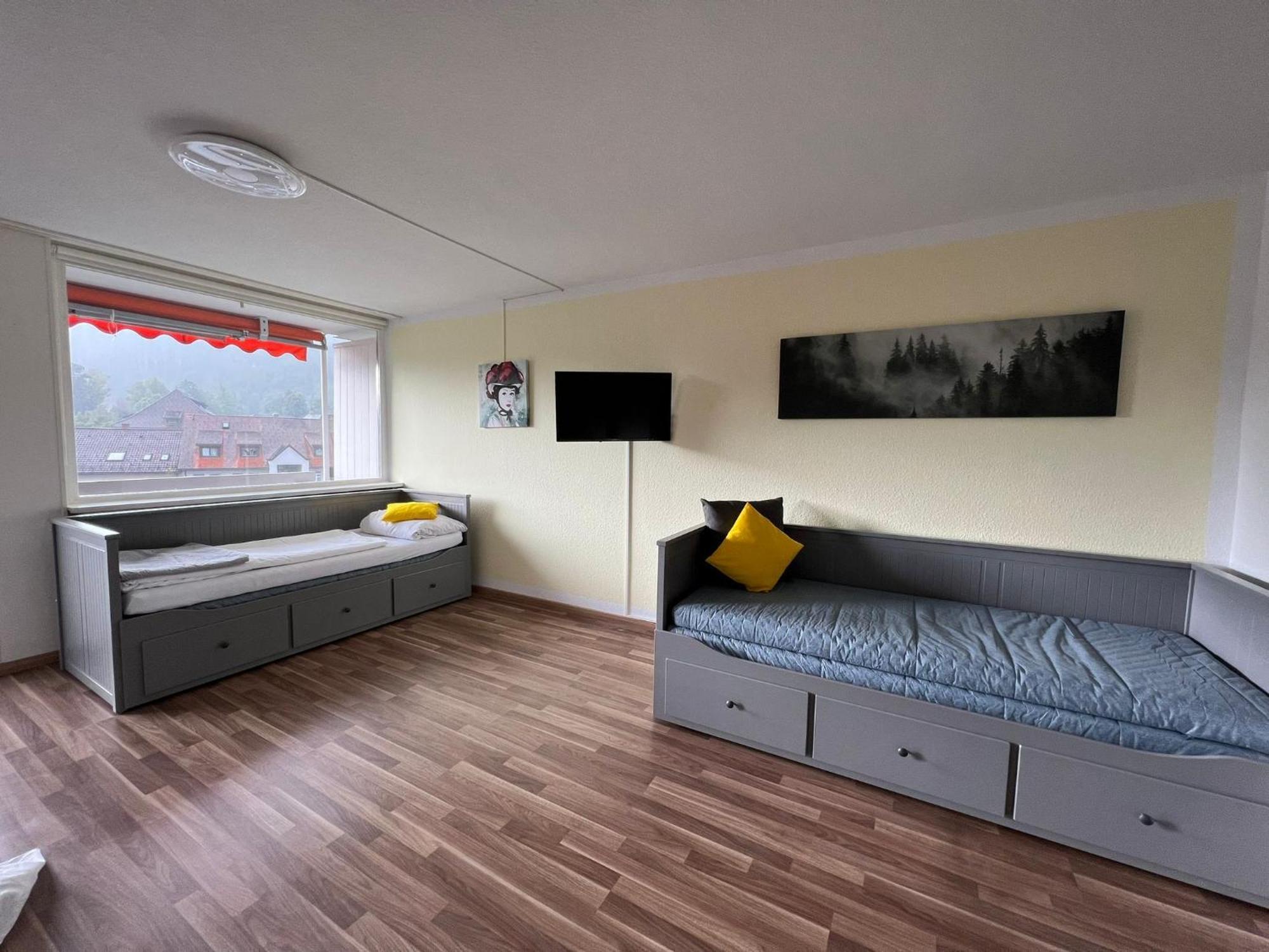 Domview Apartment St. Blasien Buitenkant foto