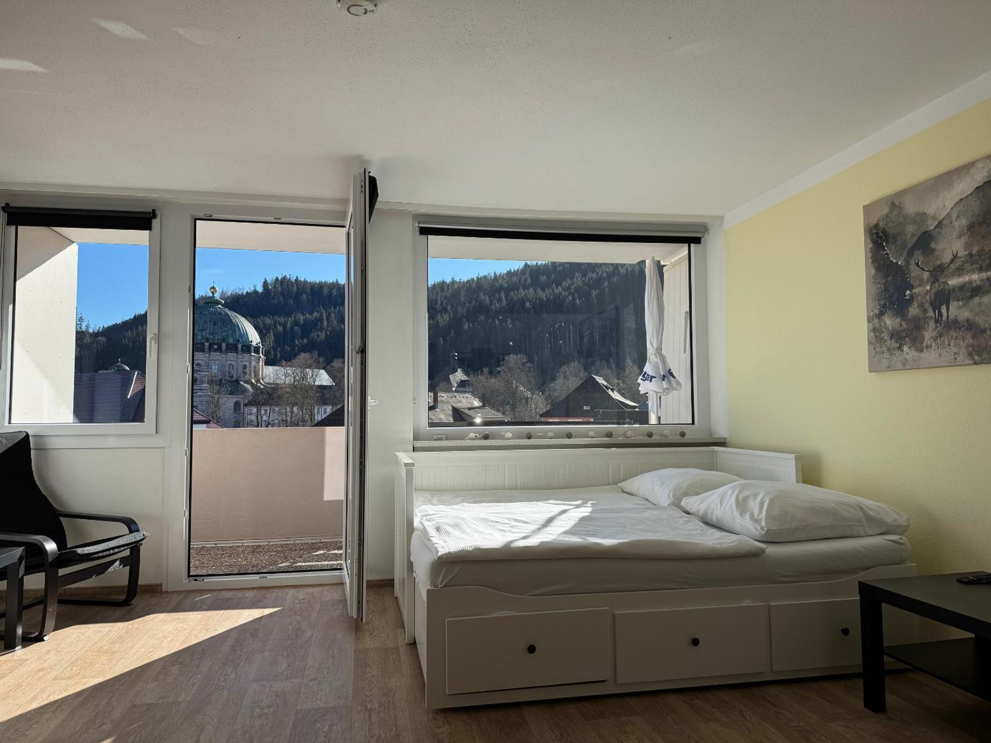 Domview Apartment St. Blasien Buitenkant foto